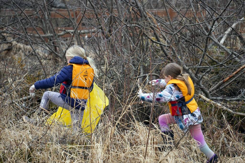 Students of Soldotna Montessori Charter School comb for trash along the banks of the Kenai River at Centennial Park in Soldotna, Alaska, on Thursday, May 2, 2024. (Jake Dye/Peninsula Clarion)