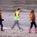 Students of Soldotna Montessori Charter School comb for trash along the banks of the Kenai River at Centennial Park in Soldotna, Alaska, on Thursday, May 2, 2024. (Jake Dye/Peninsula Clarion)