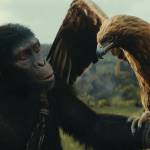 Noa (voiced by Owen Teague) in 20th Century Studios Kingdom of the Planet of the Apes. (Photo courtesy of 20th Century Studios)