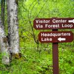 Signs direct visitors down trails at the Kenai National Wildlife Refuge near Soldotna, Alaska, on Saturday, June 1, 2024. (Jake Dye/Peninsula Clarion)