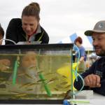 Jake Dye/Peninsula Clarion
Ben Meyer, environmental scientist and water quality coordinator for the Kenai Watershed Forum, teaches children about young salmon freshly pulled from Soldotna Creek during the Kenai River Fair at Soldotna Creek Park in Soldotna, Alaska, on Saturday, June 7, 2024.