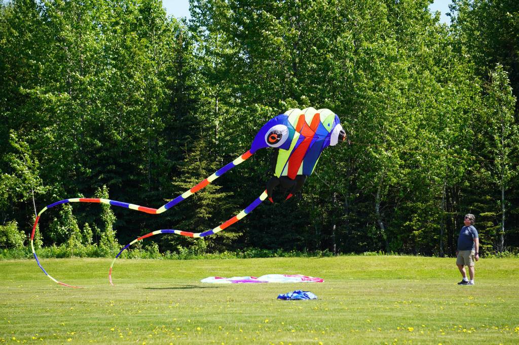 Kites flown by Alaskiters rise into the sky above Millennium Square in Kenai, Alaska, during the Kenai Kite Festival on Saturday, June 15, 2024. (Jake Dye/Peninsula Clarion)