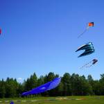 Kites flown by Alaskiters rise into the sky above Millennium Square in Kenai, Alaska, during the Kenai Kite Festival on Saturday, June 15, 2024. (Jake Dye/Peninsula Clarion)