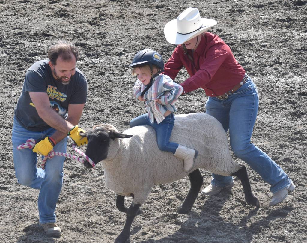 Juniper Bitterich competes in Mutton Bustin on Saturday, June 22, 2024, at the second Soldotna Equestrian Association rodeo of the season at the Soldotna Rodeo Grounds in Soldotna, Alaska. (Photo by Jeff Helminiak/Peninsula Clarion)