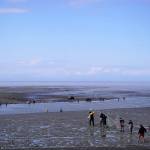 Fishers carry nets across a muddy beach during the opening day of the personal use dipnet fishery at the mouth of the Kasilof River in Alaska, on Tuesday, June 25, 2024. (Jake Dye/Peninsula Clarion)