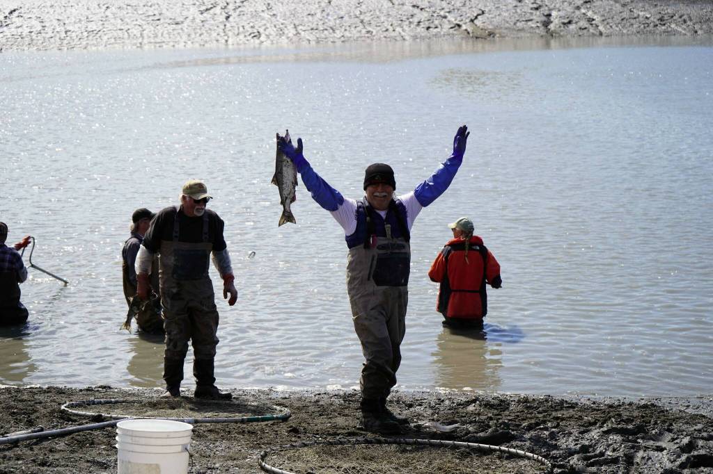 A fisher celebrates success with a sockeye salmon in hand during the opening day of the personal use dipnet fishery at the mouth of the Kasilof River in Alaska, on Tuesday, June 25, 2024. (Jake Dye/Peninsula Clarion)