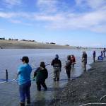 Nets and fishers line the riverbanks during the opening day of the personal use dipnet fishery at the mouth of the Kasilof River in Alaska, on Tuesday, June 25, 2024. (Jake Dye/Peninsula Clarion)