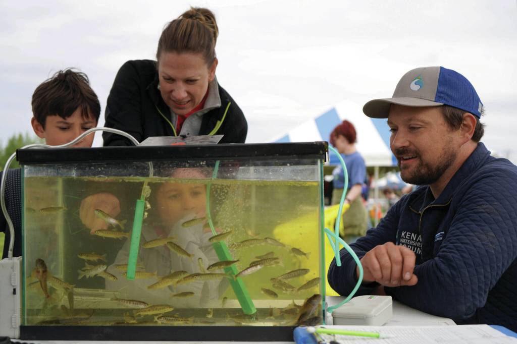Ben Meyer, environmental scientist and water quality coordinator for the Kenai Watershed Forum, teaches children about young salmon freshly pulled from Soldotna Creek during the Kenai River Fair at Soldotna Creek Park in Soldotna, Alaska, on Saturday, June 7, 2024. (Jake Dye/Peninsula Clarion)