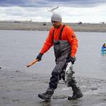 A fisher carries a freshly caught sockeye salmon from the Kenai River in Kenai, Alaska, on Wednesday, July 10, 2024. (Jake Dye/Peninsula Clarion)