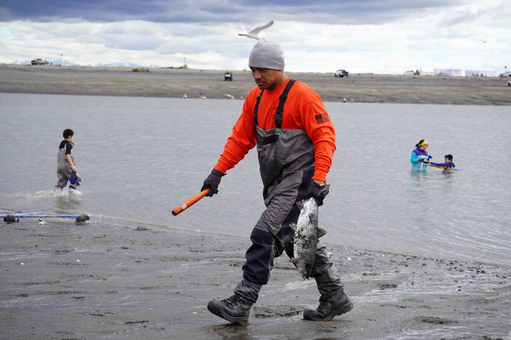A fisher carries a freshly caught sockeye salmon from the Kenai River in Kenai, Alaska, on Wednesday, July 10, 2024. (Jake Dye/Peninsula Clarion)