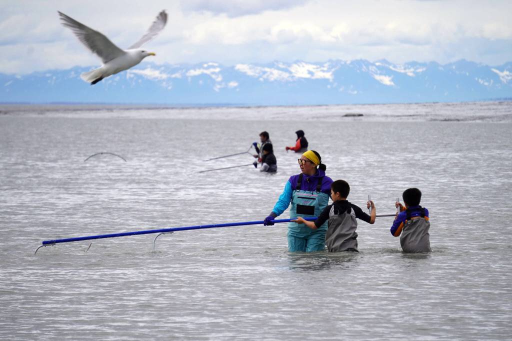 Fishers stand with net extended in the Kenai River in Kenai, Alaska, on Wednesday, July 10, 2024. (Jake Dye/Peninsula Clarion)