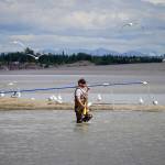 A fisher carries their net into the Kenai River in Kenai, Alaska, on Wednesday, July 10, 2024. (Jake Dye/Peninsula Clarion)