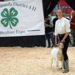 Kadence Holmes shows her grand champion goat for auction during the Kenai Peninsula District 4-H Agriculture Expo in the Soldotna Regional Sports Complex in Soldotna, Alaska, on Saturday, July 27, 2024. (Jake Dye/Peninsula Clarion)