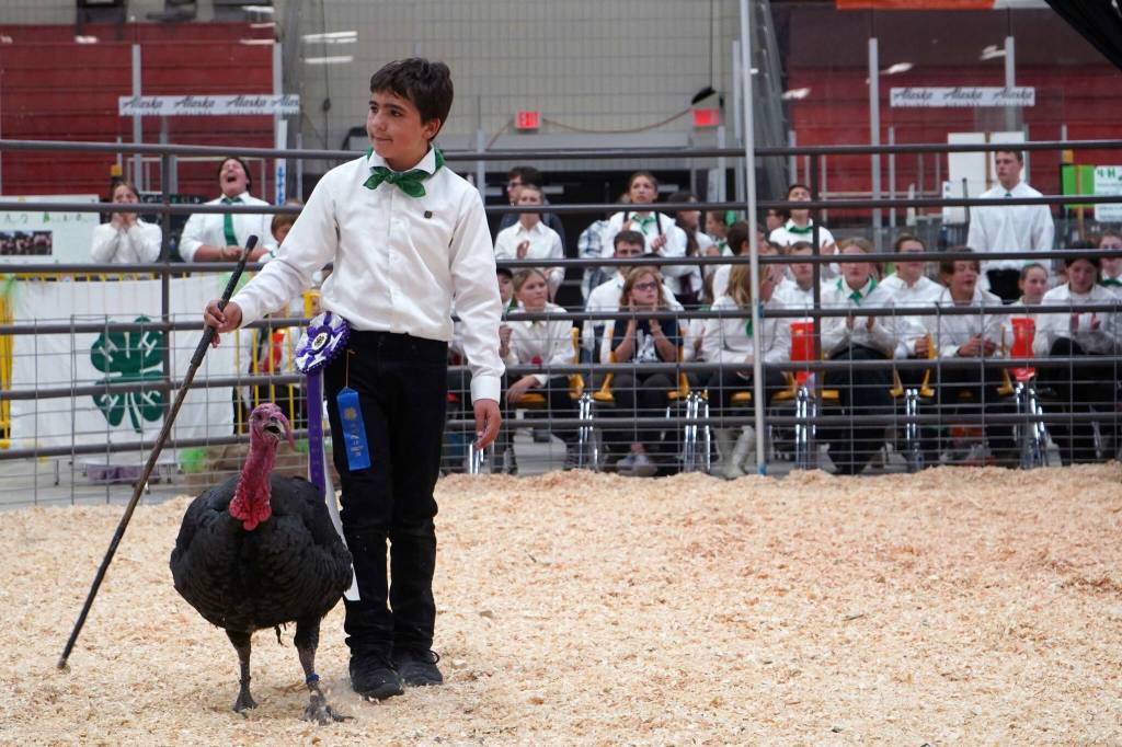 Ian Chihuly shows his champion turkey for auction during the Kenai Peninsula District 4-H Agriculture Expo in the Soldotna Regional Sports Complex in Soldotna, Alaska, on Saturday, July 27, 2024. (Jake Dye/Peninsula Clarion)