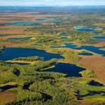 Looking out at the lakes and wetlands that make up Kanuti Flats, Alaska. (Photo by Steve Hillebrand/USFWS)