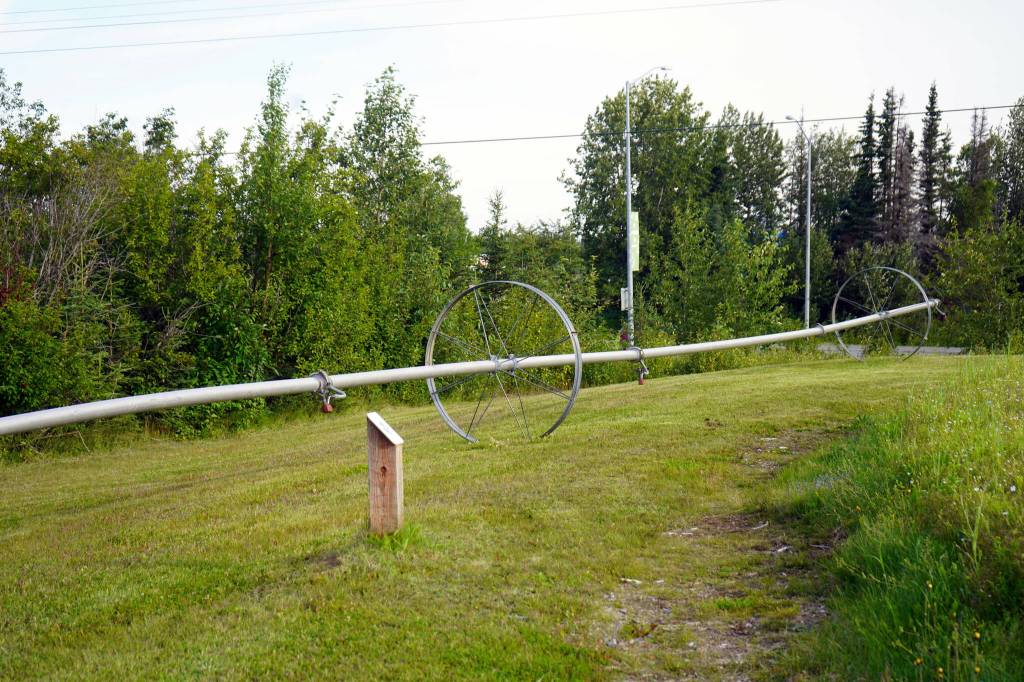 A large sprinkler rests alongside Kenais Field of Flowers in Kenai, Alaska, on Friday, Aug. 2, 2024. (Jake Dye/Peninsula Clarion)