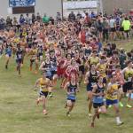 The start of the boys varsity race at the Ted McKenney XC Invitational on Saturday, Aug. 24, 2024, at Tsalteshi Trails just outside of Soldotna, Alaska. (Photo by Jeff Helminiak/Peninsula Clarion)