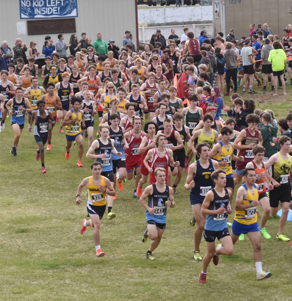 The start of the boys varsity race at the Ted McKenney XC Invitational on Saturday, Aug. 24, 2024, at Tsalteshi Trails just outside of Soldotna, Alaska. (Photo by Jeff Helminiak/Peninsula Clarion)