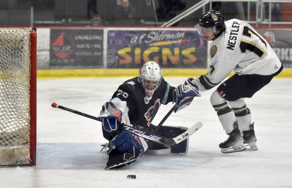 Anchorage Wolverines goalie Roberto Leonardo Henriquez makes a save on Colten Nestler of the Kenai River Brown Bears on Saturday, Oct. 12, 2024, at the Soldotna Regional Sports Complex in Soldotna, Alaska. (Photo by Jeff Helminiak/Peninsula Clarion)