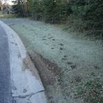Moose tracks disturb fresh sod along Lilac Lane in Kenai, Alaska, on Friday, Oct. 18, 2024. (Jake Dye/Peninsula Clarion)