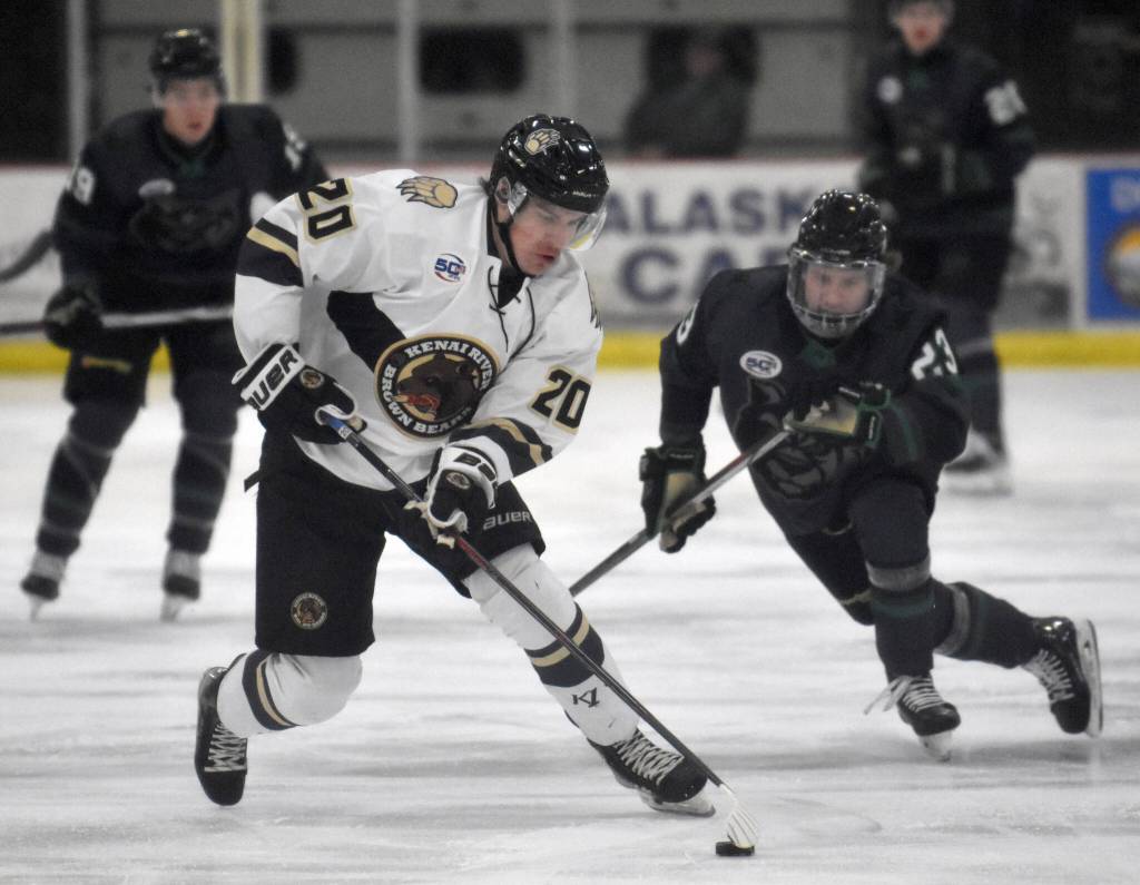 Dario Lass of the Kenai River Brown Bears keeps the puck from Nate Murray of the Minnesota Wilderness on Saturday, Nov. 2, 2024, at the Soldotna Regional Sports Complex in Soldotna, Alaska. (Photo by Jeff Helminiak/Peninsula Clarion)