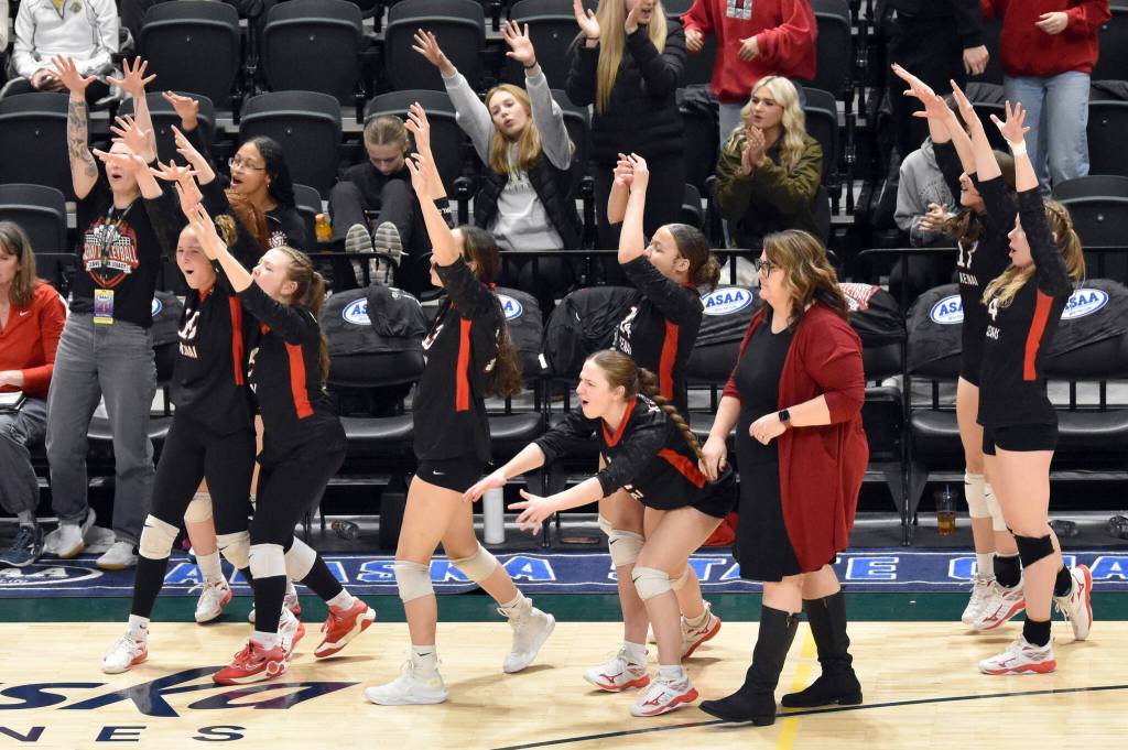 Kenai Central players cheer on their team Saturday, Nov. 16, 2024, in the Class 3A state volleyball championship at the Alaska Airlines Center in Anchorage, Alaska. (Photo by Jeff Helminiak/Peninsula Clarion)