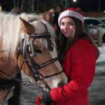 A horse takes a moment with its handler between carriage rides during Christmas in the Park at Soldotna Creek Park in Soldotna, Alaska, on Saturday, Dec. 7, 2024. (Jake Dye/Peninsula Clarion)