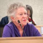 Member Donna Hall speaks during a meeting of the Kenai Peninsula Borough Tourism Industry Working Group in Soldotna, Alaska, on Wednesday, Dec. 18, 2024. (Jake Dye/Peninsula Clarion)
