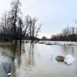 Flooding from the Anchor River reaches over campgrounds in the Anchor River State Recreation Area and Anchor Point Road on Monday, Jan. 13, 2025, in Anchor Point, Alaska. Photo courtesy of Tim Hatfield