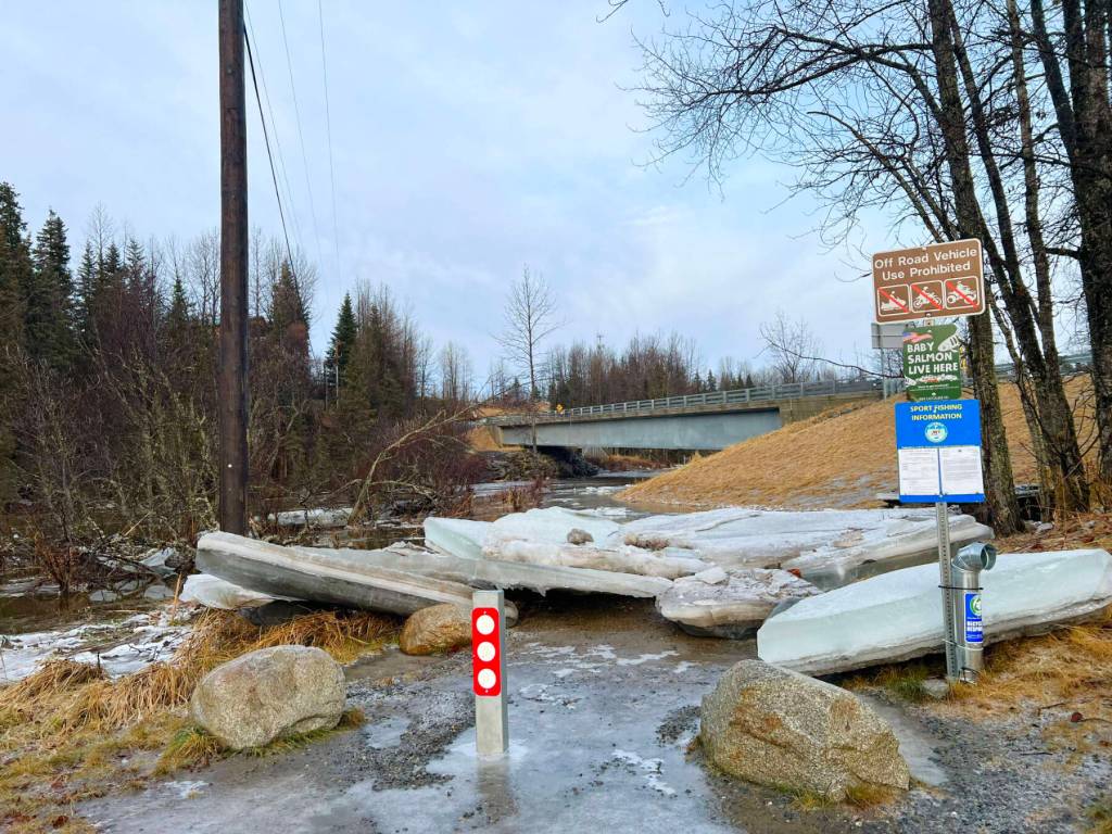 Large ice chunks, heaved up from the Anchor River, lie scattered on the riverbank on Monday, Jan. 13, 2025, in Anchor Point, Alaska. Photo courtesy of Tim Hatfield