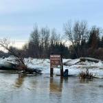 An ice dam on the Anchor River caused flooding in the Anchor River State Recreation Area, impacting both the campgrounds and Anchor River Road, on Monday, Jan. 13, 2025, in Anchor Point, Alaska. Photo courtesy of Tim Hatfield