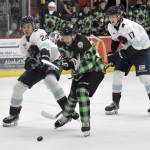 Wes Berg of the Kenai River Brown Bears earns a penalty shot in front of Jason Bourdukofsky of the Anchorage Wolverines on Saturday, Jan. 18, 2025, at the Soldotna Regional Sports Complex in Soldotna, Alaska. (Photo by Jeff Helminiak/Peninsula Clarion)