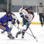 Homers Zane Barth tries to poke the puck away from Houstons Daniel Matveev during an 8-2 loss to the Hawks Friday, Jan. 17, 2024, at the Menard Arena in Wasilla, Alaska. (Bruce Eggleston/matsusports.net)