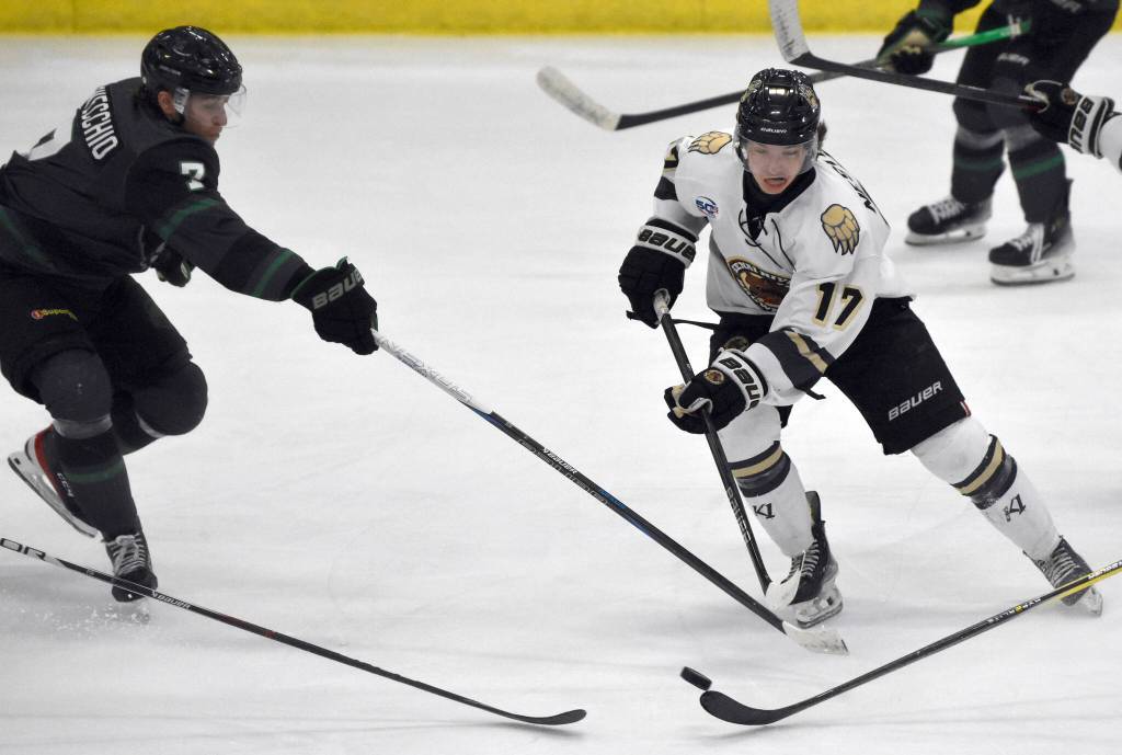 Colten Nestler of the Kenai River Brown Bears carries the puck against Angel Lovecchio of the Minnesota Wilderness on Saturday, Feb. 1, 2025, at the Soldotna Regional Sports Complex in Soldotna, Alaska. (Photo by Jeff Helminiak/Peninsula Clarion)