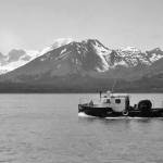 Photo courtesy of Ken Moore
After Red Cleaver, in 1959, helped Poopdeck Platt add 30 inches to the stern of his fishing vessel, the Bernice M, Platt took his boat out onto the waters of Kachemak Bay.