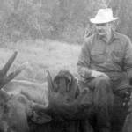Clarence Hiram Poopdeck Platt sits atop a recent moose kill. (Photo from In Those Days: Alaska Pioneers of the Lower Kenai Peninsula, Vol. II)