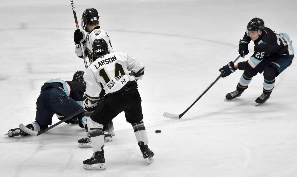 Daniel Matveev, an affiliate player for the Anchorage Wolverines who played for Houston this season, collects the puck Friday, March 14, 2025, at the Soldotna Regional Sports Complex in Soldotna, Alaska. (Photo by Jeff Helminiak/Peninsula Clarion)