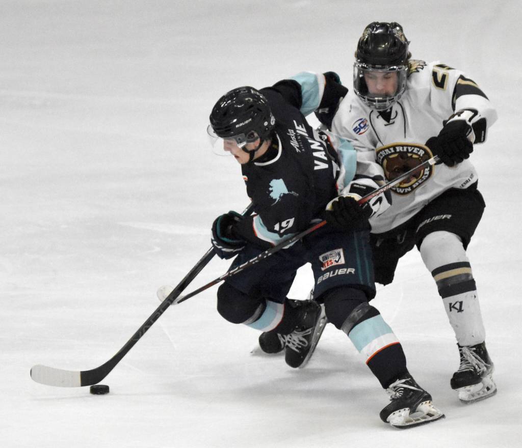 Aaron VanWie of the Anchorage Wolverines and John Ross of the Kenai River Brown Bears battle for the puck Friday, March 14, 2025, at the Soldotna Regional Sports Complex in Soldotna, Alaska. (Photo by Jeff Helminiak/Peninsula Clarion)