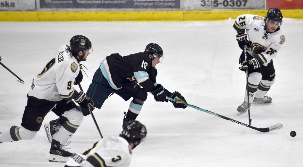 Riley Mullen and Samuel Sisik of the Kenai River Brown Bears and Aaron VanWie of the Anchorage Wolverines battle for the puck Saturday, March 29, 2025, at the Soldotna Regional Sports Complex in Soldotna, Alaska. (Photo by Jeff Helminiak/Peninsula Clarion)
