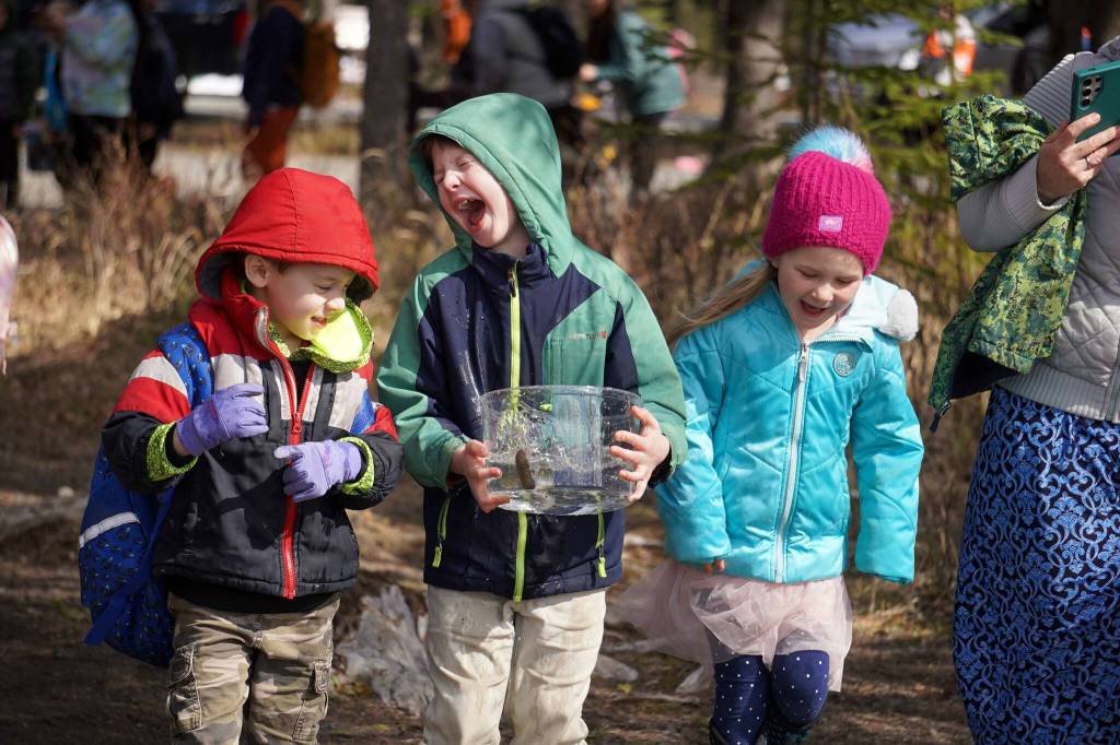 Students stock rainbow trout into Johnson Lake during Salmon Celebration, hosted by the Alaska Department of Fish and Game near Kasilof, Alaska, on Wednesday, May 7, 2025. (Jake Dye/Peninsula Clarion)