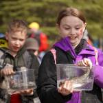Students stock rainbow trout into Johnson Lake during Salmon Celebration, hosted by the Alaska Department of Fish and Game near Kasilof, Alaska, on Wednesday, May 7, 2025. (Jake Dye/Peninsula Clarion)