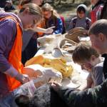 Students view bear fur and skulls during Salmon Celebration, hosted by the Alaska Department of Fish and Game near Kasilof, Alaska, on Wednesday, May 7, 2025. (Jake Dye/Peninsula Clarion)