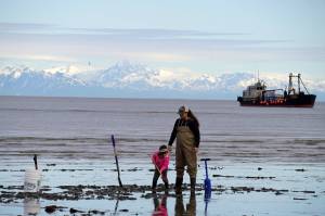 A young girl digs for razor clams at the Ninilchik Beach in Ninilchik, Alaska, on Saturday, July 1, 2023. (Jake Dye/Peninsula Clarion)