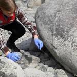 Sterling Elementary School students collect trash from the banks of the Kenai River near Bings Landing in Sterling, Alaska, during the 10th Annual Kenai River Spring Cleanup on Wednesday, May 14, 2025. (Jake Dye/Peninsula Clarion)