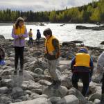 Sterling Elementary School students collect trash from the banks of the Kenai River near Bings Landing in Sterling, Alaska, during the 10th Annual Kenai River Spring Cleanup on Wednesday, May 14, 2025. (Jake Dye/Peninsula Clarion)