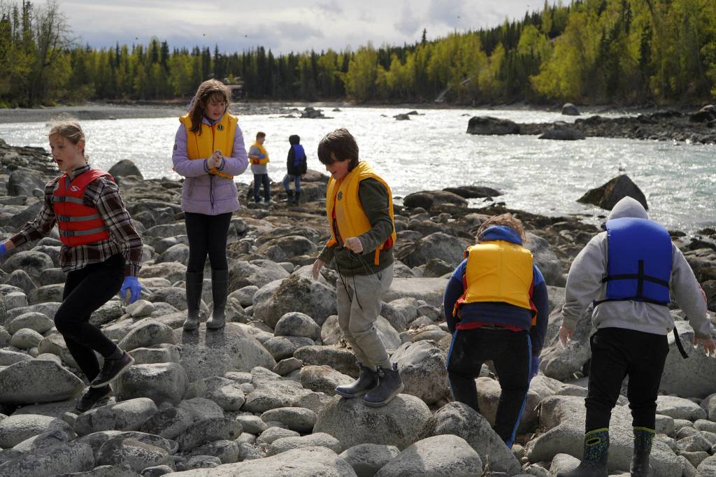 Sterling Elementary School students collect trash from the banks of the Kenai River near Bings Landing in Sterling, Alaska, during the 10th Annual Kenai River Spring Cleanup on Wednesday, May 14, 2025. (Jake Dye/Peninsula Clarion)