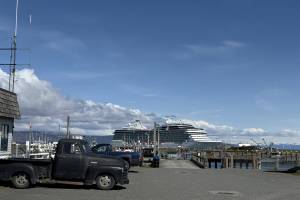 The Oceania Riviera stands out against a bluebird sky at the Homer Harbor on Wednesday, May 7, 2025. Over 1200 passengers from aboard the boat explored Homer throughout the beautiful day. (Chloe Pleznac/Homer News)