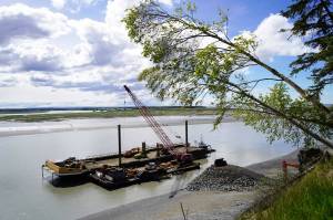 The barge, crane, and first pile of rock for the Kenai Bluff Stabilization Project is seen during a break in work at the bank of the Kenai River in Kenai, Alaska, on Tuesday, May 27, 2025. (Jake Dye/Peninsula Clarion)