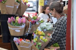 Carey Restino of Homer Hilltop Farm rearranges flowers at her booth during the first market of 2025 on Saturday, May 24. (Chloe Pleznac/Homer News)
