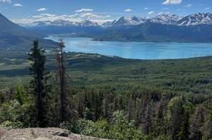 Kenai Lake can be seen from Bear Mountain, Kenai Peninsula, Alaska. (Photo by Meredith Harber/courtesy)